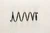 TOYOT 481310D180 Coil Spring